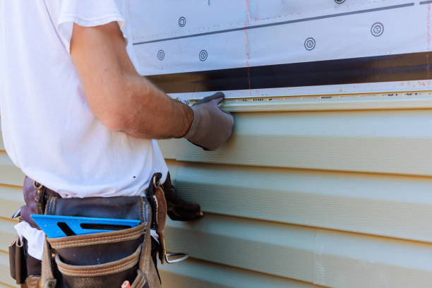 Affordable Vinyl Siding solutions in Long Branch, VA